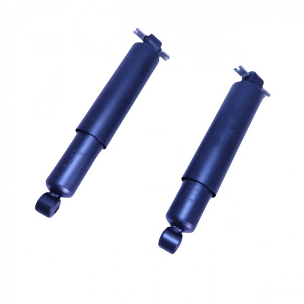 Kit 2 Amortecedor Cherokee Sport 1991 a 2001 Traseiro Allen Amortecedores